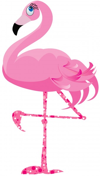 New Flamingo Mascot! | Flamingos 2 Go